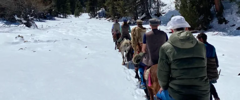 Fairy Meadows